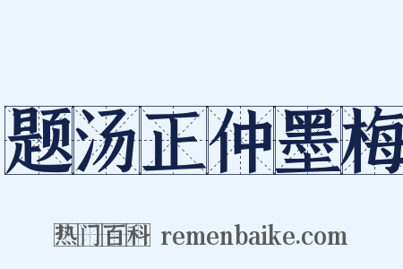题汤正仲墨梅是什么意思的图片